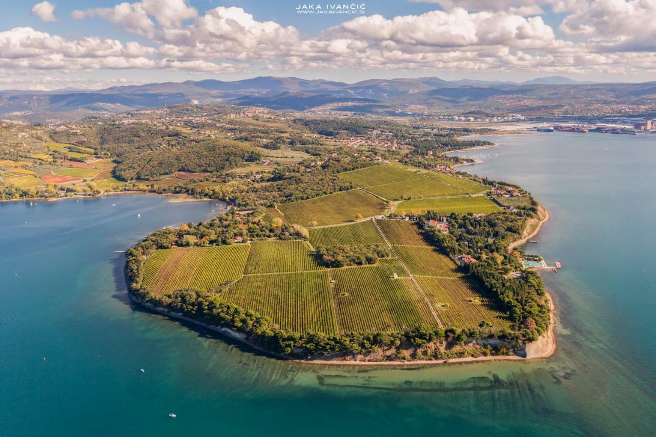 Istrian Lux Residence Koper városi község Kültér fotó
