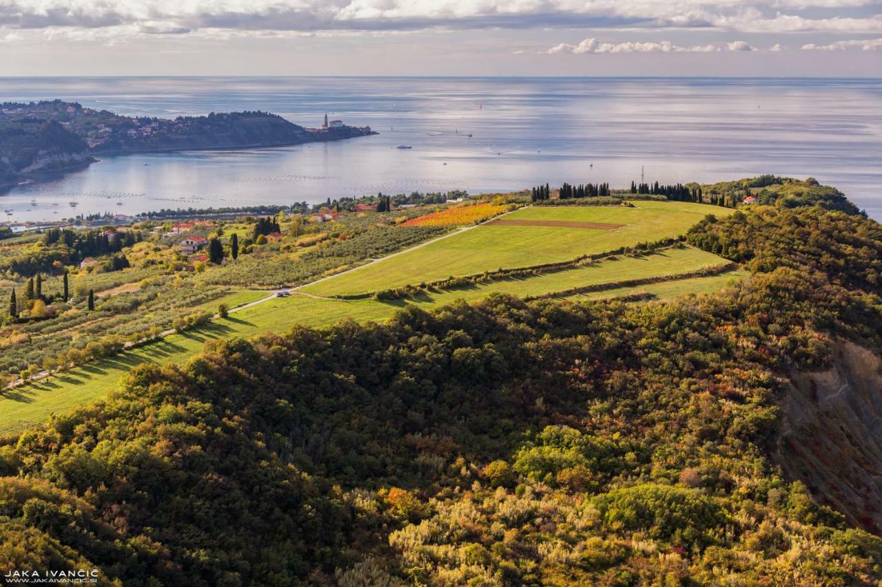 Istrian Lux Residence Koper városi község Kültér fotó