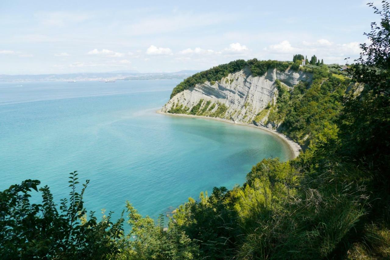 Istrian Lux Residence Koper városi község Kültér fotó